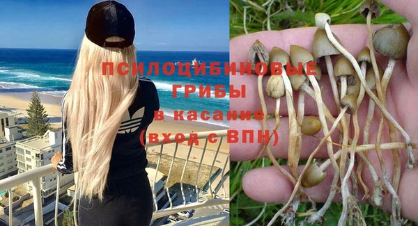 прущий лед Бронницы