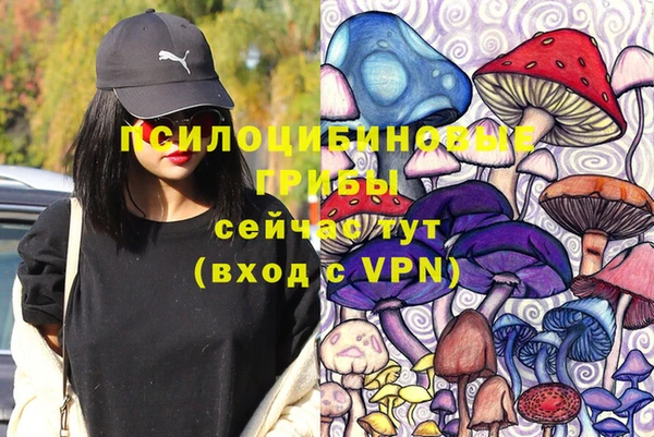 прущий лед Бронницы