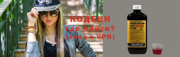 амф Бородино