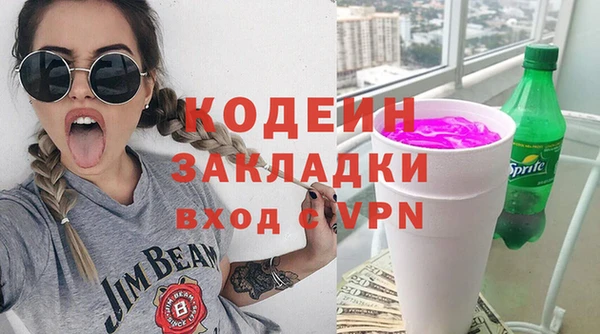 амф Бородино