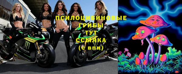 прущий лед Бронницы