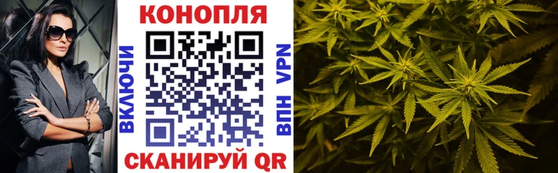 Бошки марихуана White Widow  купить   кракен рабочий сайт  Гудермес 